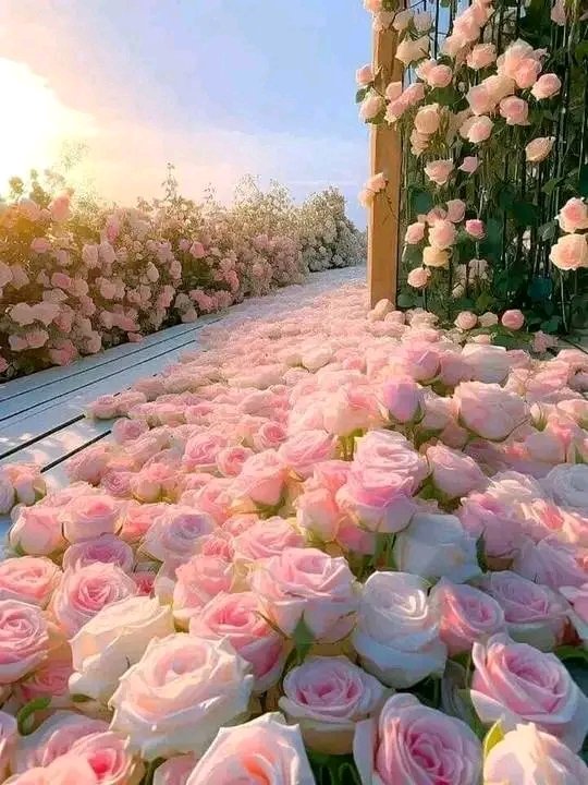 Mo5363's tweet photo. @i01x4 @MiluRamalho @takakoi3388 @RavensFanLissie @PeLopez1 @CDWGWAGov @enriquillo2 @carmen2513 @KVajpayaee @LFSRS @OrizukiK @1961Et @casallas1000 @pfretel78 @BerneLarry @Jyoti95690875 @angelarosane @purple991166 @JettSumer @mehmetulus13 @kyalo_mulinge @AsCollide @cyrusdacyborg @MisesNobu517 @2c817a7338f14a3 @CrayolaJumbo @mohamadrezakor @GuberinicSlavko @otarrogava @tereaissam @BRDEx8m4TqtgdFl @ReYouhi @Jorgefr41607568 @6ykYOzBeuHKI3E4 @kazuhito222nor2 @Chaochaobaobao @Bholana86984035 @Reynaldocabel17 @robklippel @mustafaengins @Yobenu2014 @ScenicPoems @Nob94838676 @moto_mfp @Oa6QpWefCXQcI23 @wa9works @sheriran95 @lajucp4 @jitu_harjai https://t.co/qBO83ouoSp