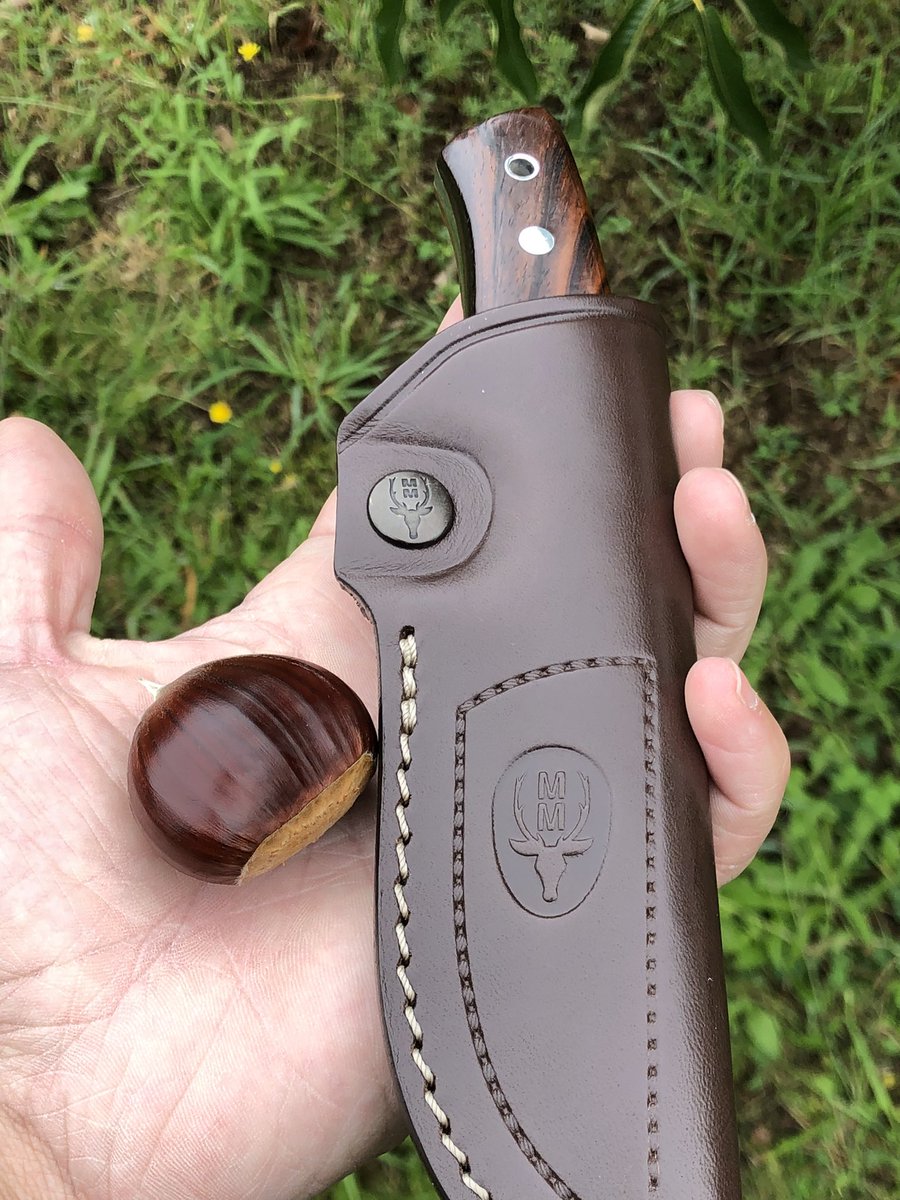 GranjeroInver's tweet image. Por aquí estos días andamos recolectando castañas en los ratos muertos 🌰

Y vosotros? Os gustan las castañas? 🌰🍂🌲

#castaña #otoño #Autumn #nature #chestnut #naturaleza