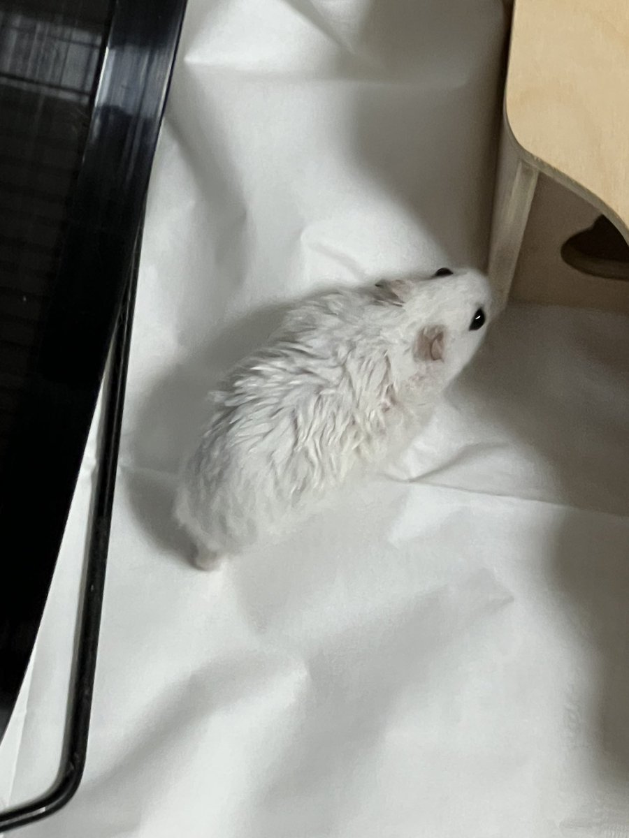 축축당황햄져 ㅠㅠ