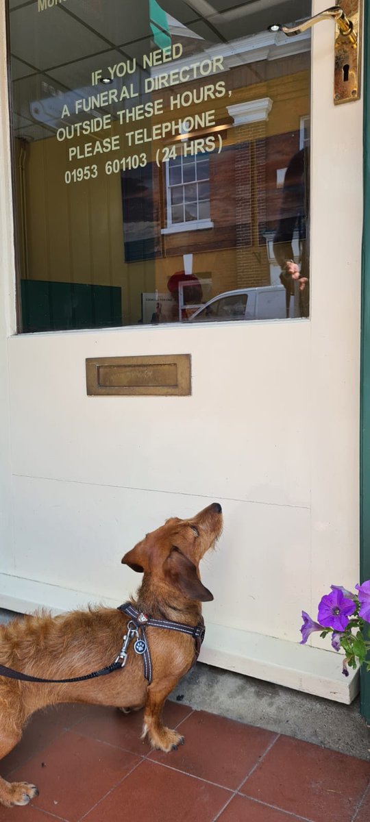 Our out of hours funeral director is always available at the end of the line 24/7. Unfortunately for Betty on Saturday this didn't extend the normal bacon sizzler treats!