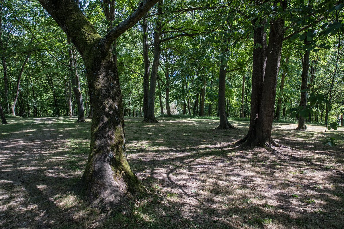#EspacesVerts 
📅Ce mardi 31 octobre, de 14h à 17h, le parc du Morbras vous accueille en famille pour des ateliers nature d'automne... spécial #Halloween !

Au programme: décors d'halloween🎃, fabrication d'instruments de musique🥁, goûter🍪

🔗valdemarne.fr/vivre-en-val-d…
📸E.Legrand