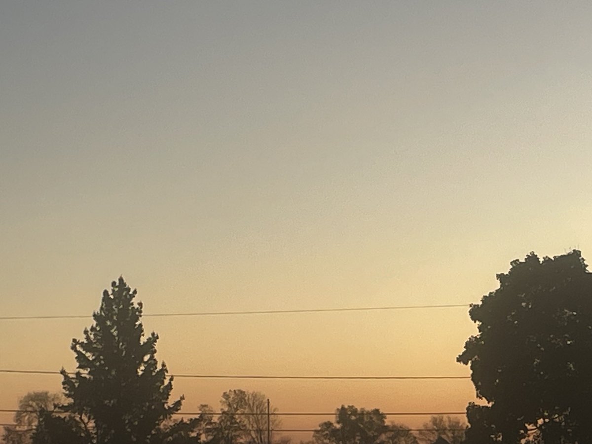 Papa Dino tweet media