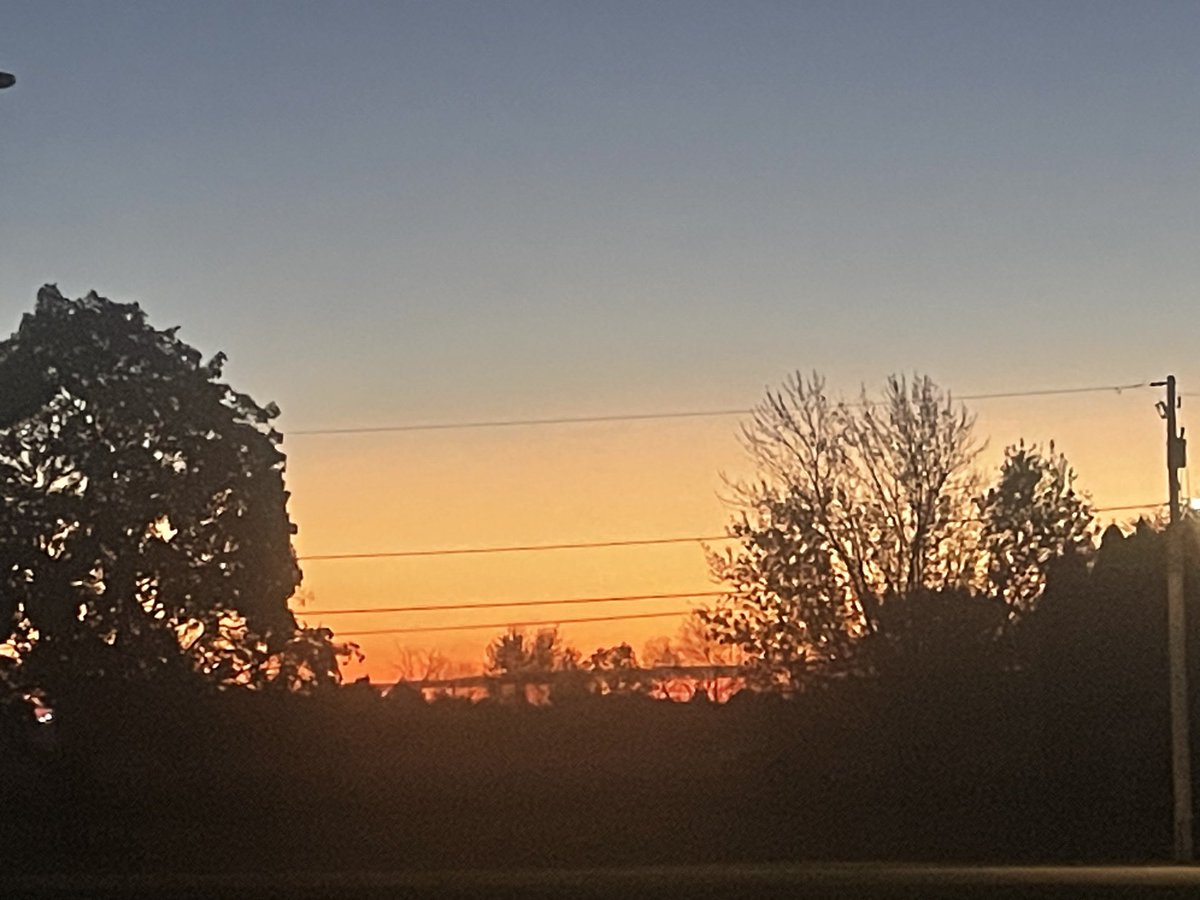 Papa Dino tweet media