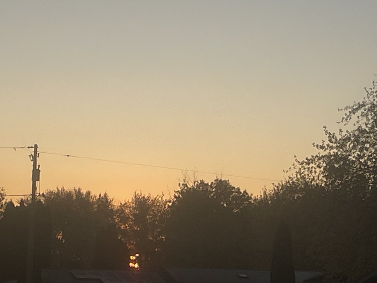 Papa Dino tweet media