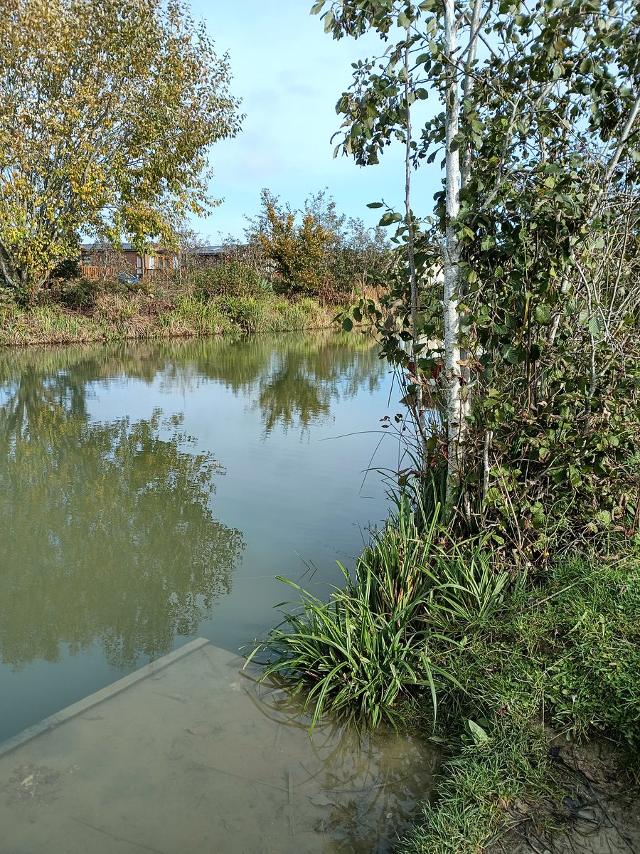 alan ridealgh tweet media