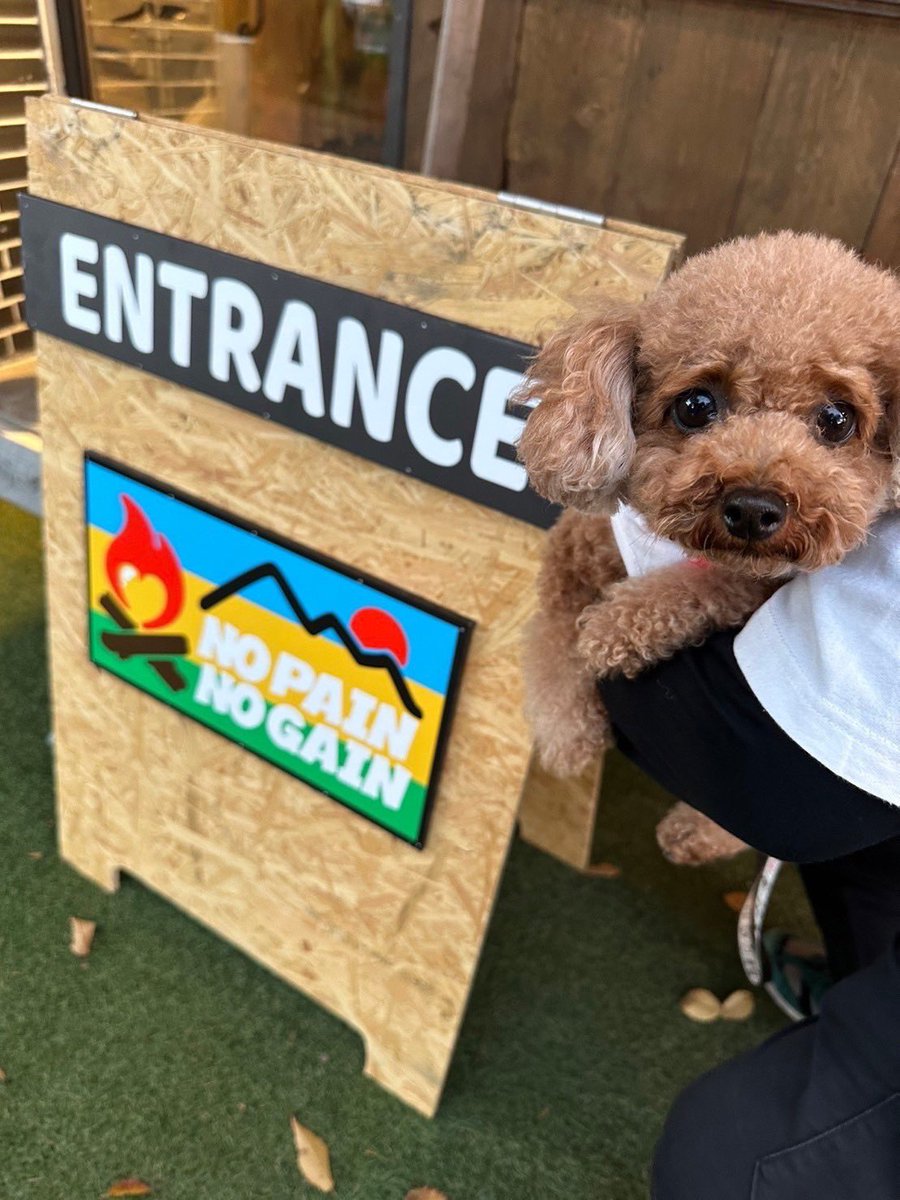 愛犬との素敵な思い出が増えました🐶

数っち、殿、若、ゴンさん、ノペノゲに関わる全ての人へ感謝です🙏

#ノペノゲ