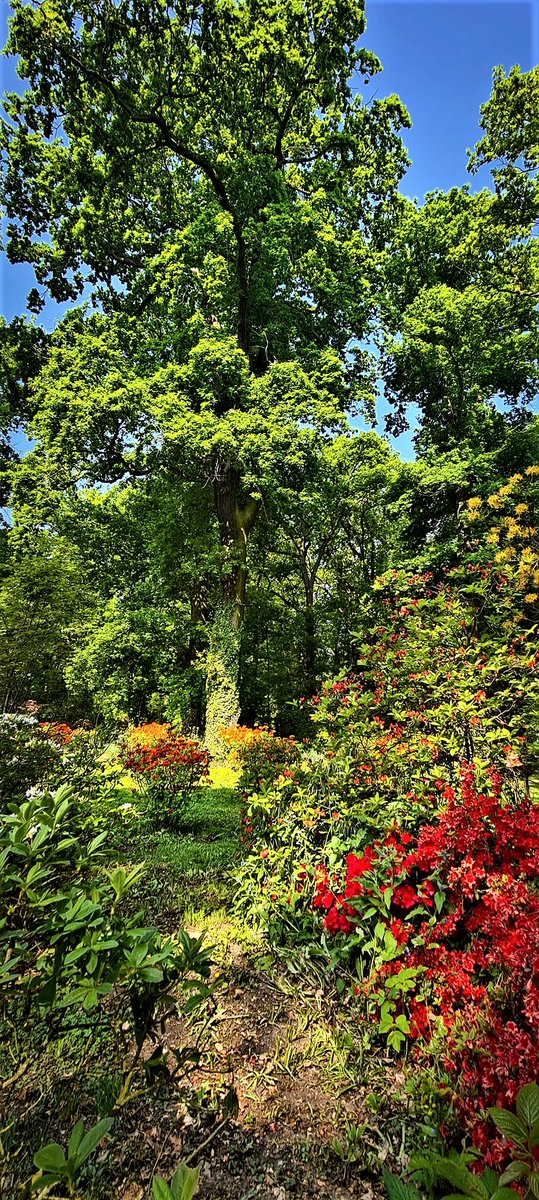 The positive impacts of urban forests on residents health are widely acknowledged. Relating the characteristics of green areas to visitors proved to improve the correlation between residents’ health and the quality of green areas. Ivana Živojinović from Forest Policy Research💚🍀