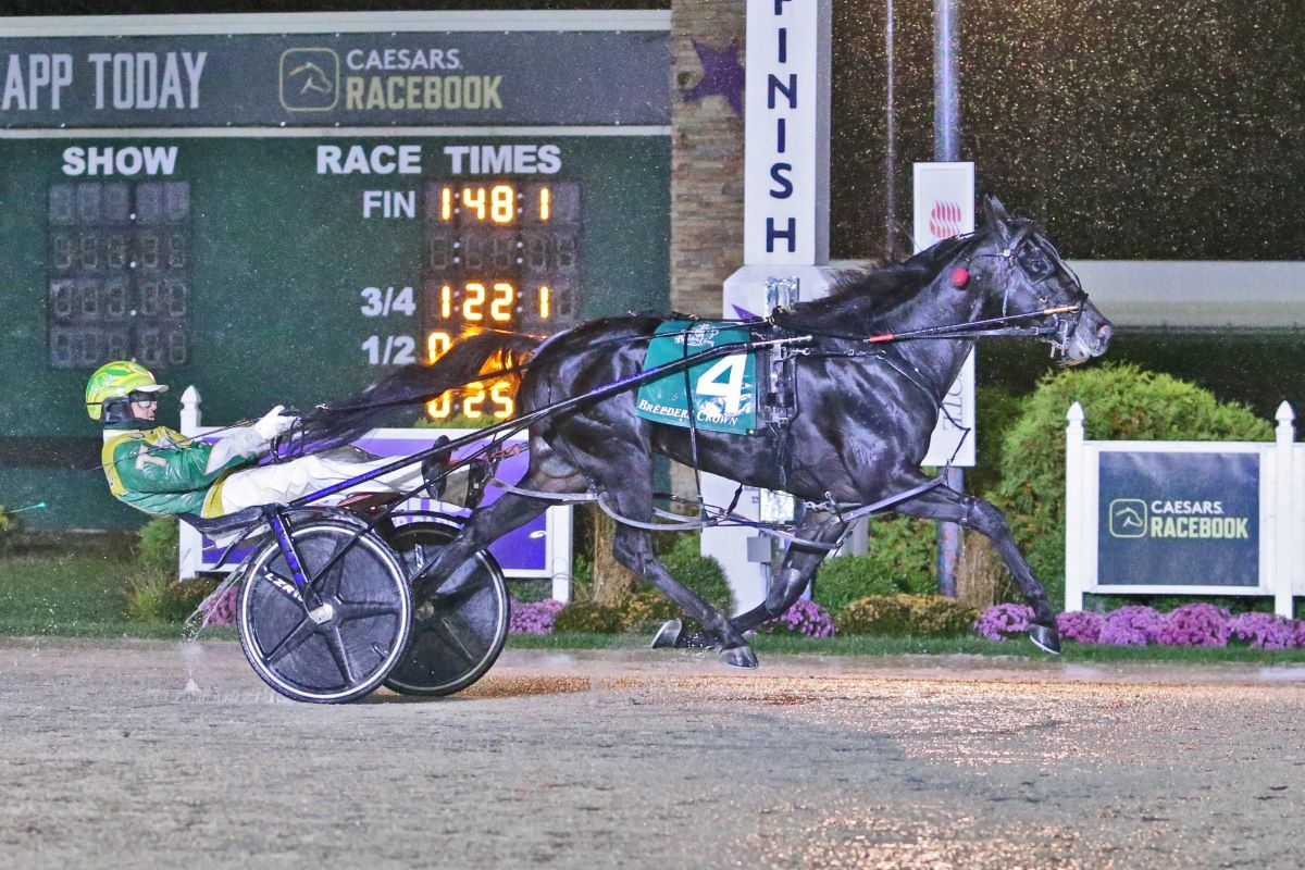 USTrotting's tweet photo. ICYMI: Harrahβs Hoosier Park sets historic handle with Breeders Crown Championships
Read now https://t.co/eWe9MUf80I
Head over to https://t.co/mnSY20Irdm to watch and read the weekend highlights.
Dean Gillette Photo
@HoP_Racing
#harnessracing https://t.co/5z6EodXQYW