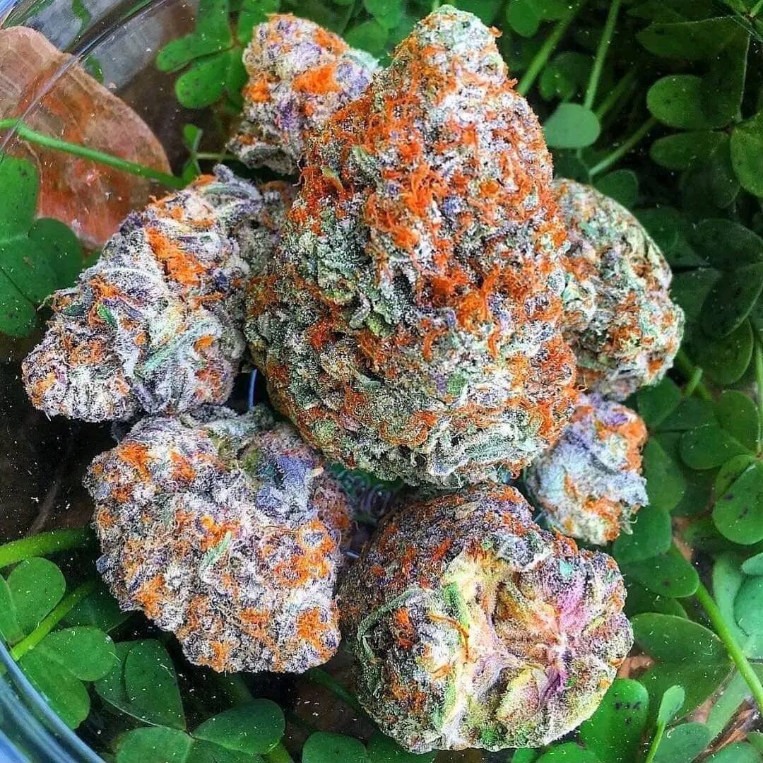 Gelato and Purple Punch