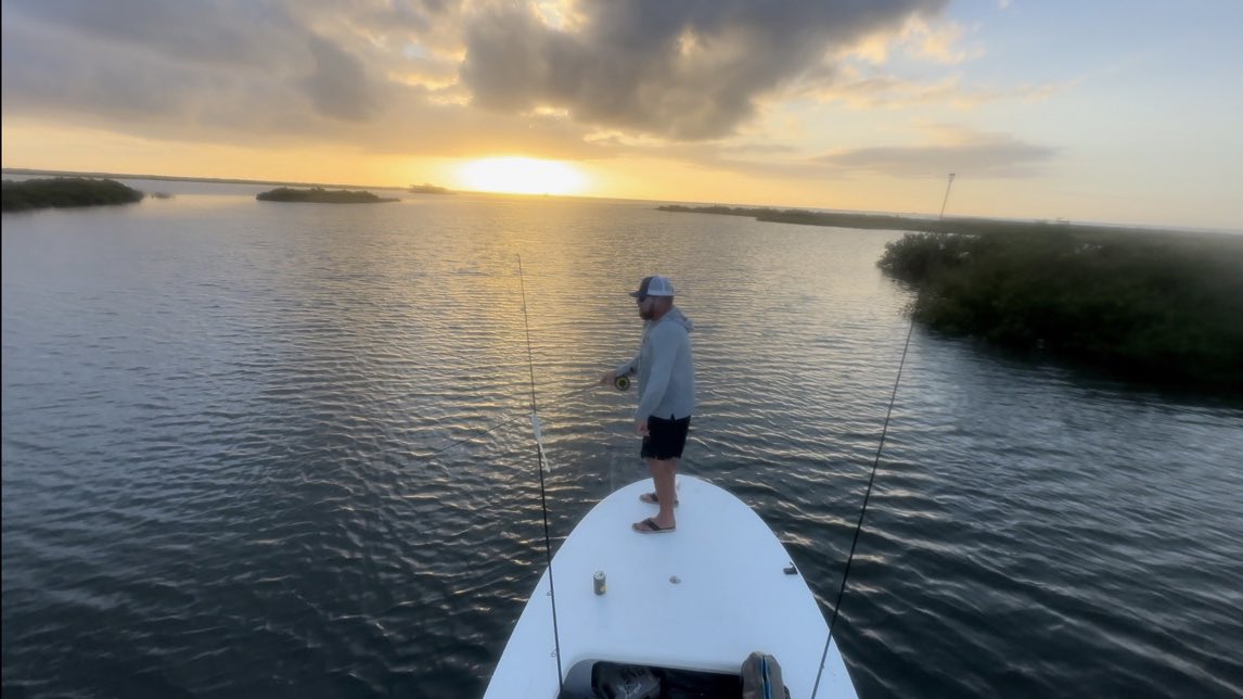 Kyle Foreman tweet media