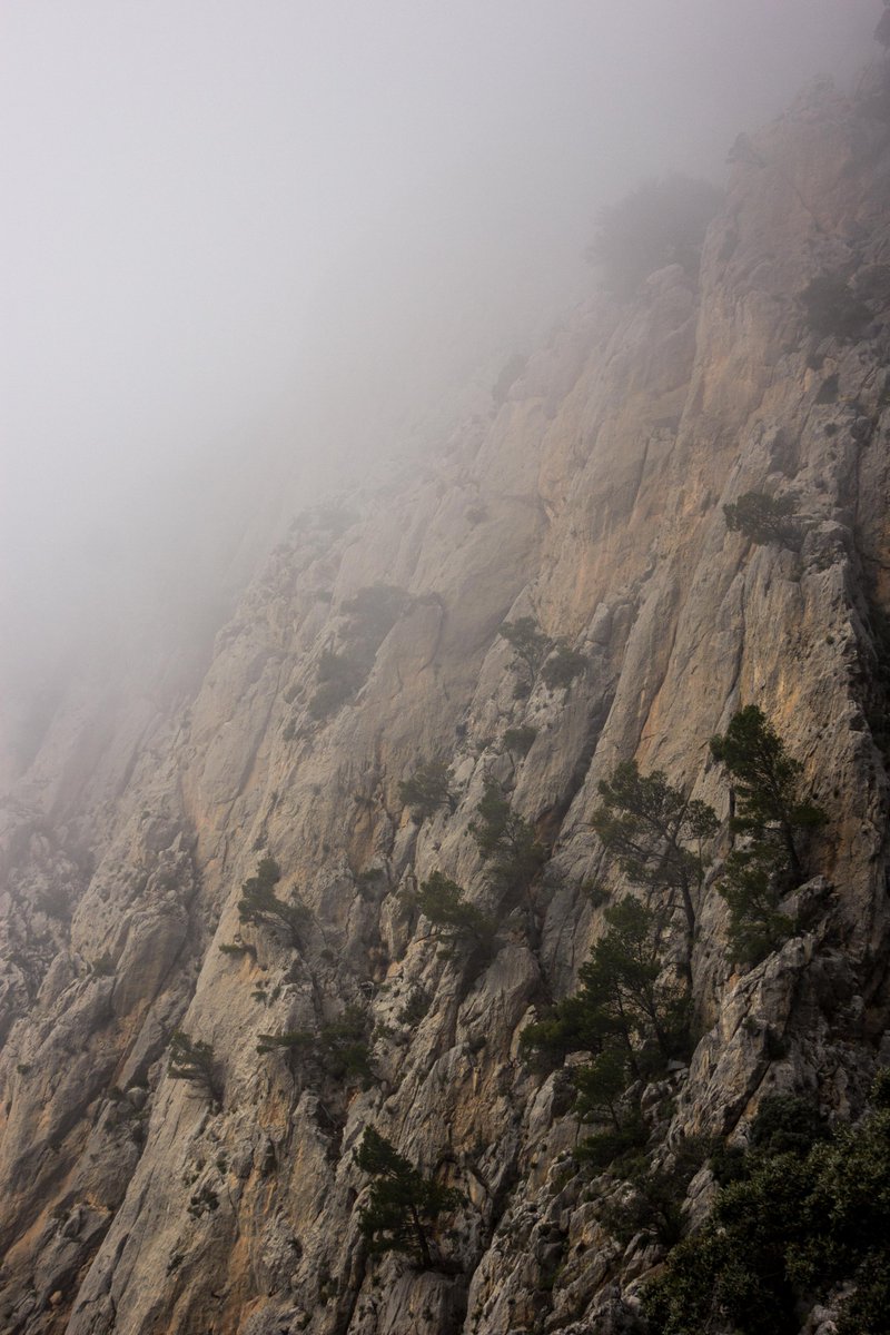 MasAllaDLCiudad's tweet photo. El Kilómetro Vertical del Puig Campana⛰️

Una de la rutas más duras y exigentes que puedes realizar en la #comunidadvalenciana se encuentra en #Finestrat. Tendrás que superar un desnivel de 1000 metros en tan solo 2,5km de distancia.😲

▶️https://t.co/70pm5sysMp https://t.co/gMm0CGuP9r