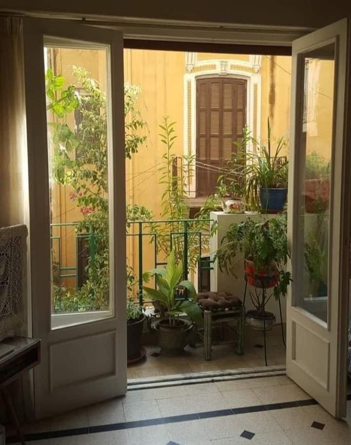 الحمدُ للهِ الذِي أَذِن لنَا بيومٍ جَديد لِنعبده ونشكره ونَتوب إليه

أصبحنا نسألُك الخَيرة في كل أمر، والسلامة من كل سوء، والمُعافاة الدائمة في الدين والدنيا، وعدم تمني ما ليس لنا فيه نصيب .. 
قرَّ الله عيني وأعيُنكُم في هذا الصباح بِما نُحِب وننتظر. ♥️