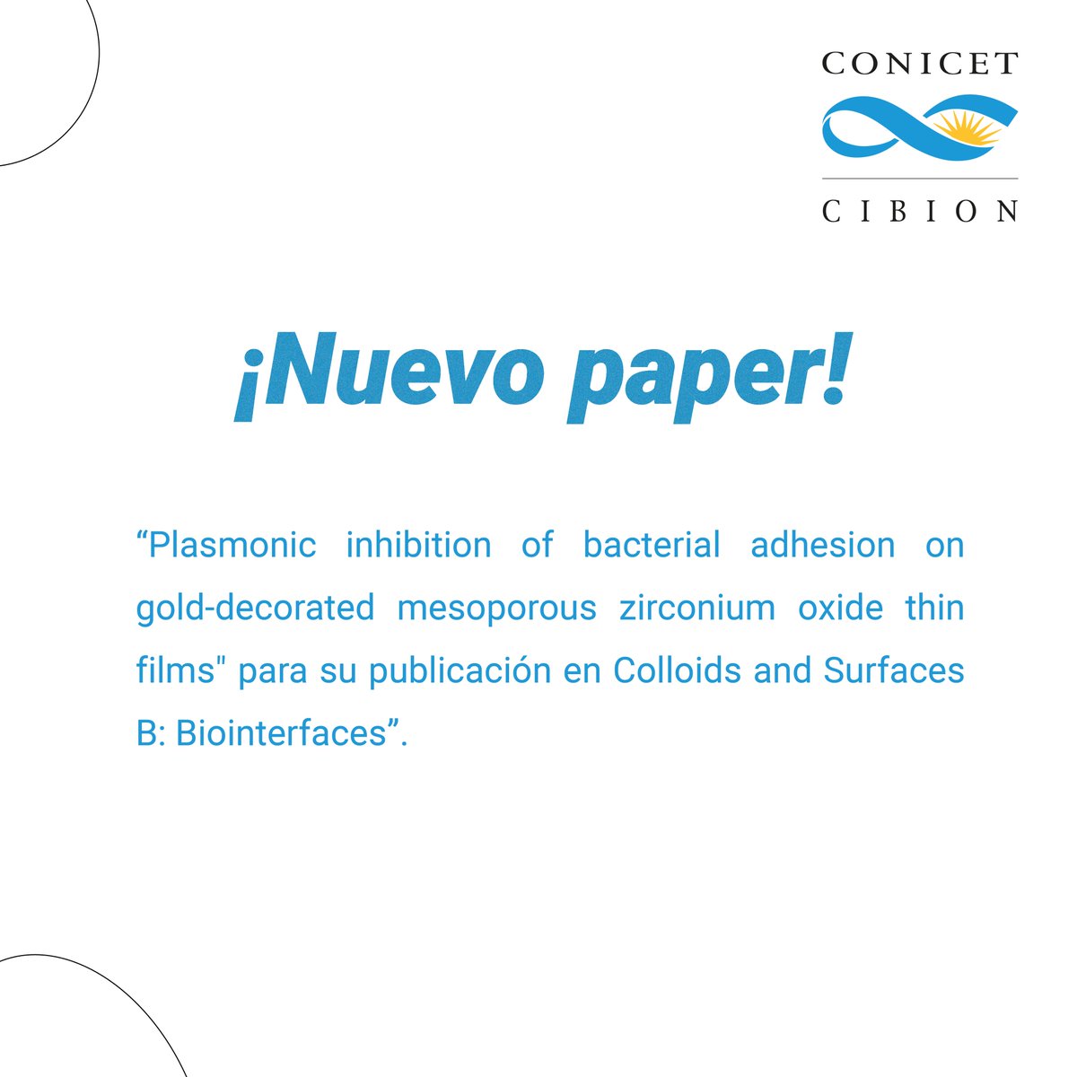 Centro de Investigaciones en Bionanociencias tweet media