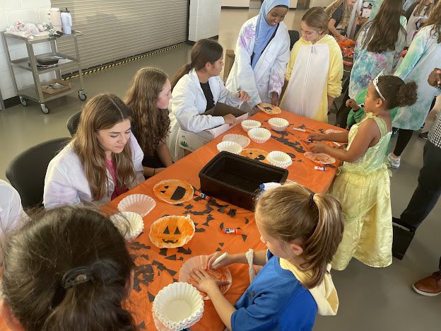 StaleyHOSA tweet media