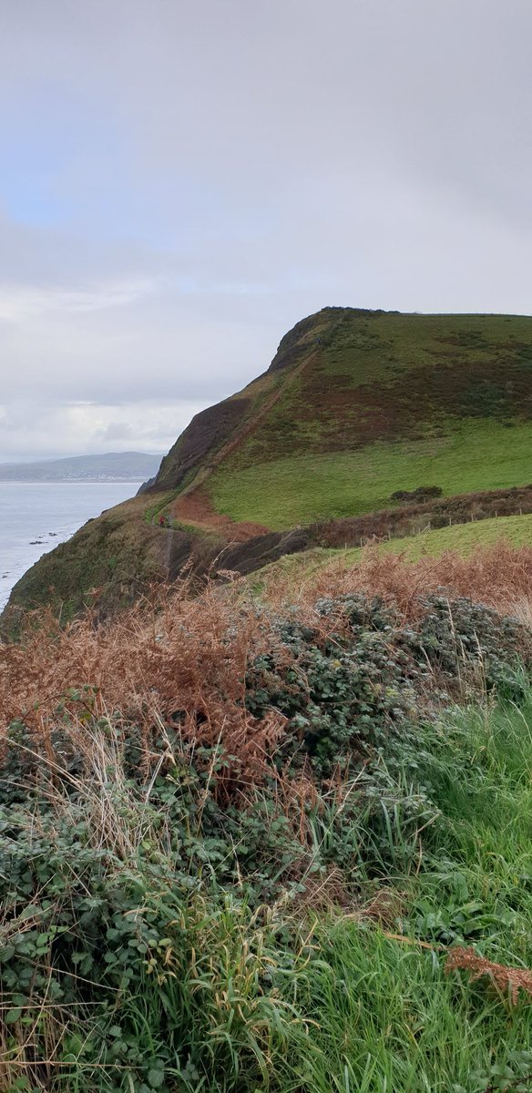 @tfwrail #Borth #RailtoTrail #DaysOutbyRail #railrambles from #Shrewsbury to #Aberystwyth on the #welsh coastal path