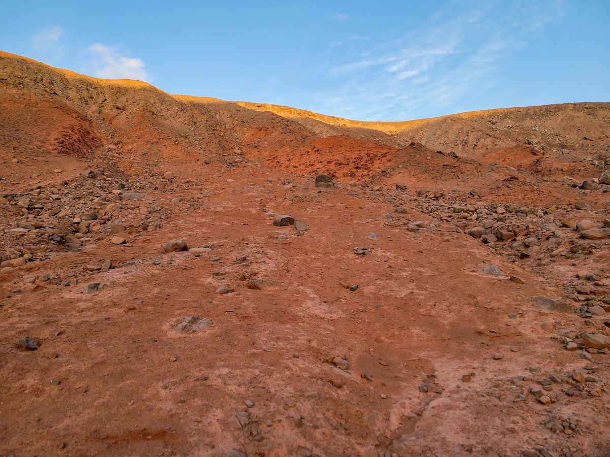 criordor's tweet image. Hoy es el Día Nacional de las y los Ejecutados Políticos. En este lugar exacto, en la Quebrada El Way de #Antofagasta fueron ejecutadas 14 personas la madrugada del 19 de Octubre de 1973 🌹Por la memoria, verdad, justicia y garantías de no repetición.
#50AñosDelGolpe