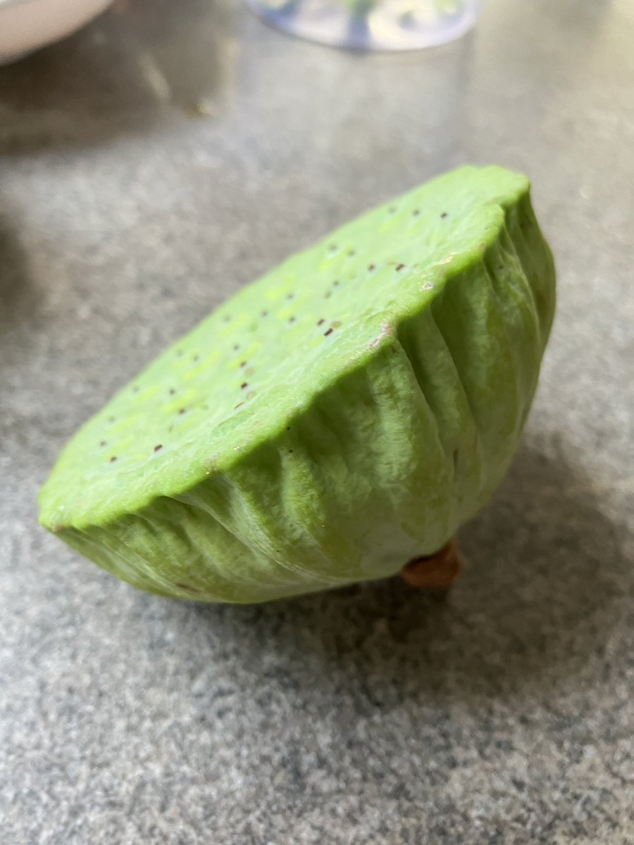septemradiatus's tweet photo. 食堂のおばちゃんに蓮の実貰った。
ムリっと割って中の実を食べるらしい。
実の中の緑のやつは苦いから出せと言われた。
生ではあんまり美味しくなかった😅
ググったら塩茹でしたら美味らしいからお持ち帰り😊
#ベトナム生活
#蓮の実
#ベトナムグルメ https://t.co/PJBSFk8KkB