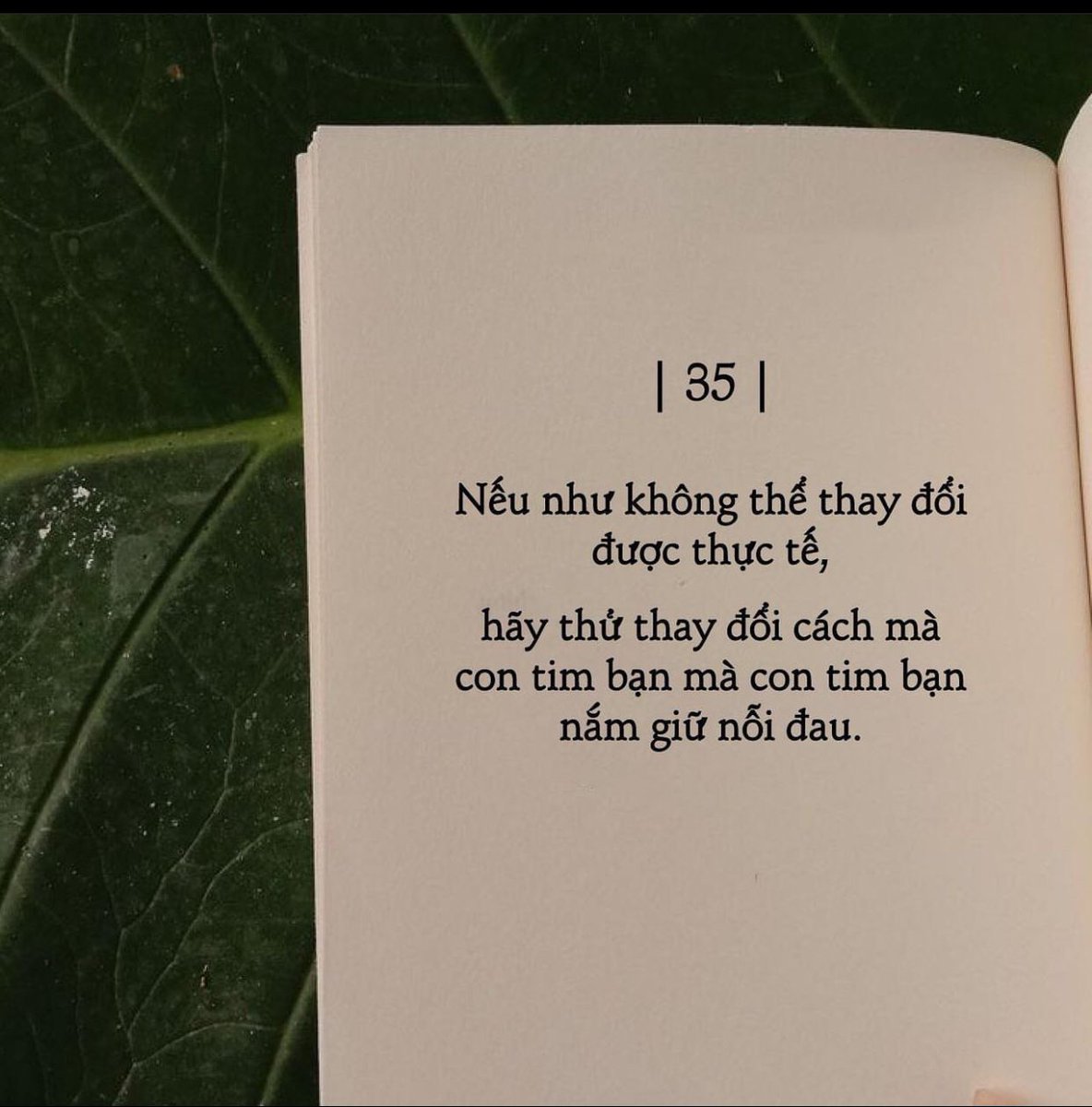 sam061201's tweet photo. Cố lên các bác 👌👌👌 https://t.co/DkdZHFkKoe