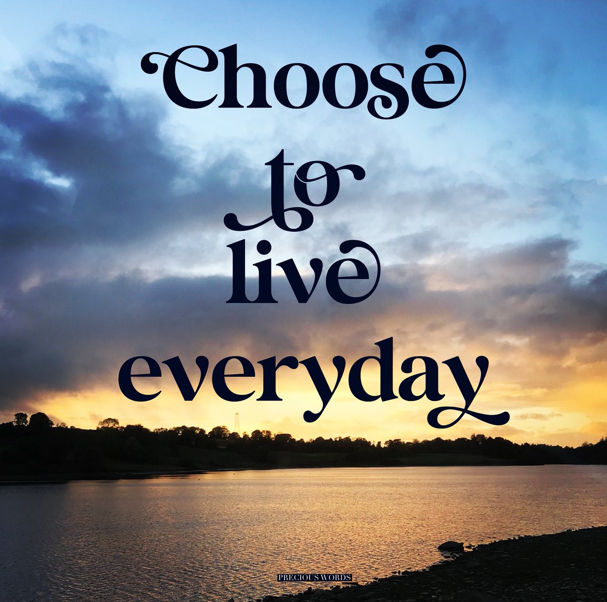 Choose to live everyday. Appreciate what you have and where you are in life.
#choosetoliveeveryday #choosetolive #appreciatewhatyouhave #appreciatethelittlethings #lifeisprecious #preciouswords #preciouswordsoflife #preciouswordstoliveby