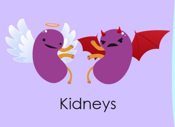 Happy KidneyWeen (KidneyWeek) has begun #Kidneywk #NephTwitter