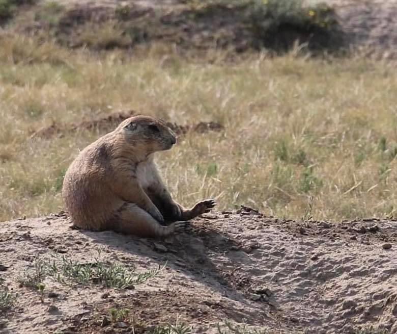 NatlParkService's tweet image. Mondays be like…