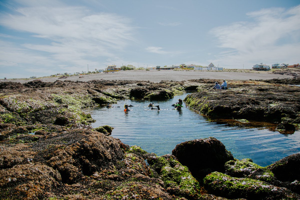 CONOCER PARA PROTEGER: LA VISITA DEL CLUB DEL MAR A ROCAS COLORADAS · Adentrarnos en los entornos naturales resulta esencial para reconocer el valor único y natural que albergan sus hábitats.

#clubdemar #marargentino #chubut #parquepatagoniaazul #patagoniaazul