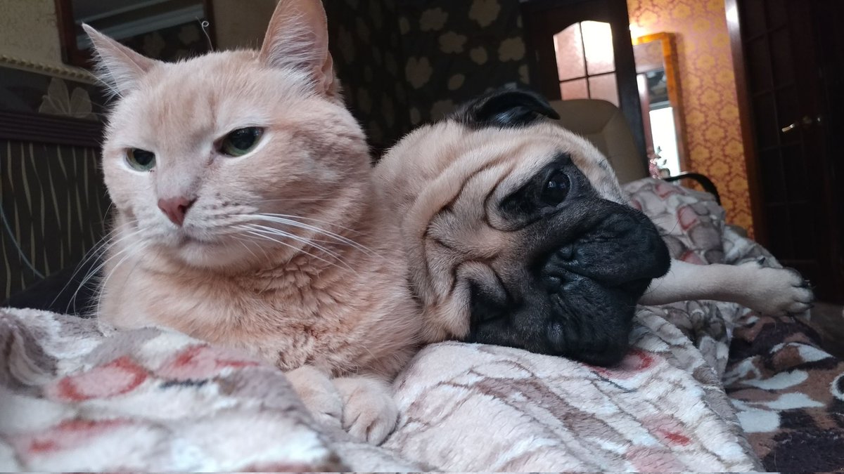 Gm crypto ppl! Have a great day!
Photo for good mood