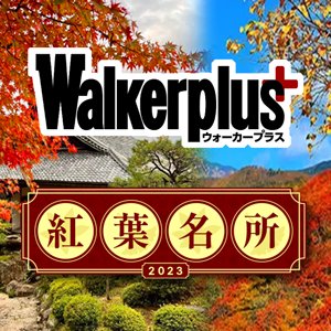 今年も、【湖東三山 百済寺(国史跡)の紅葉】として、
ウォーカープラス 特集「紅葉名所2023」に掲載いただきました。

紅葉見ごろ情報とともに、
艶やかな紅葉の写真は『百済寺フォトコン2022秋』受賞者の作品を一部掲載しています。
koyo.walkerplus.com/detail/ar0725e…