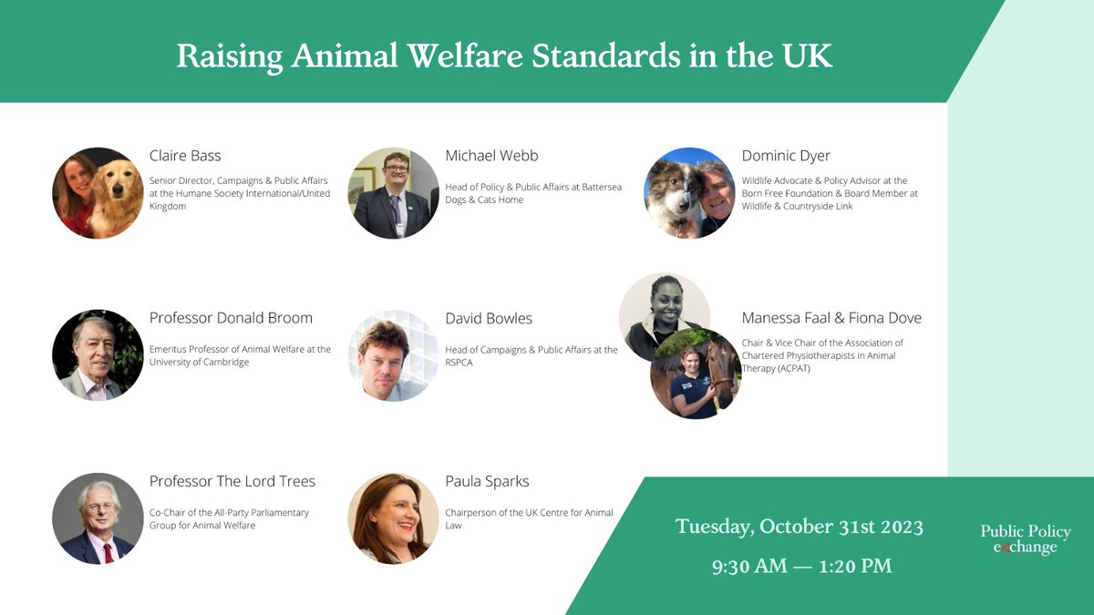 Don't miss tomorrow's #webinar on Raising Animal Welfare Standards in the UK 📅October 31st 2023 publicpolicyexchange.co.uk/event.php?even… With: @ClaireHSI, @BroomDonald, Professor The Lord Trees, Michael Webb, @DavidBowles21, @PaulaSparksLaw, @domdyer70, Manessa Faal & Fiona Dove