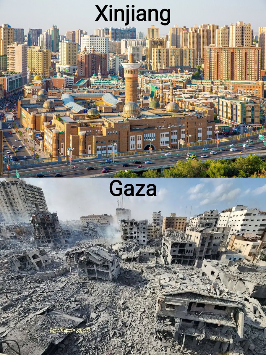 🇨🇳🇵🇸 XINJIANG vs GAZA

🇮🇱 Israel is carrying out a GENOCIDE, not China!