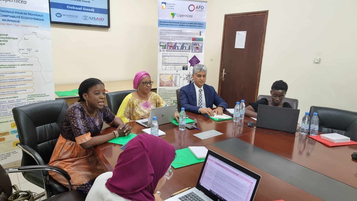 OSS_Comms's tweet photo. 3rd Steering Committee of the COPERNICEA project organized by @Csesenegal with @OSS_Comms, on October 27, 2023 in Dakar. Representatives of institutional, technical & financial partners gathered to review the progress of the #COPERNICEA project & explore prospects for the future. https://t.co/spz0fCDmPw