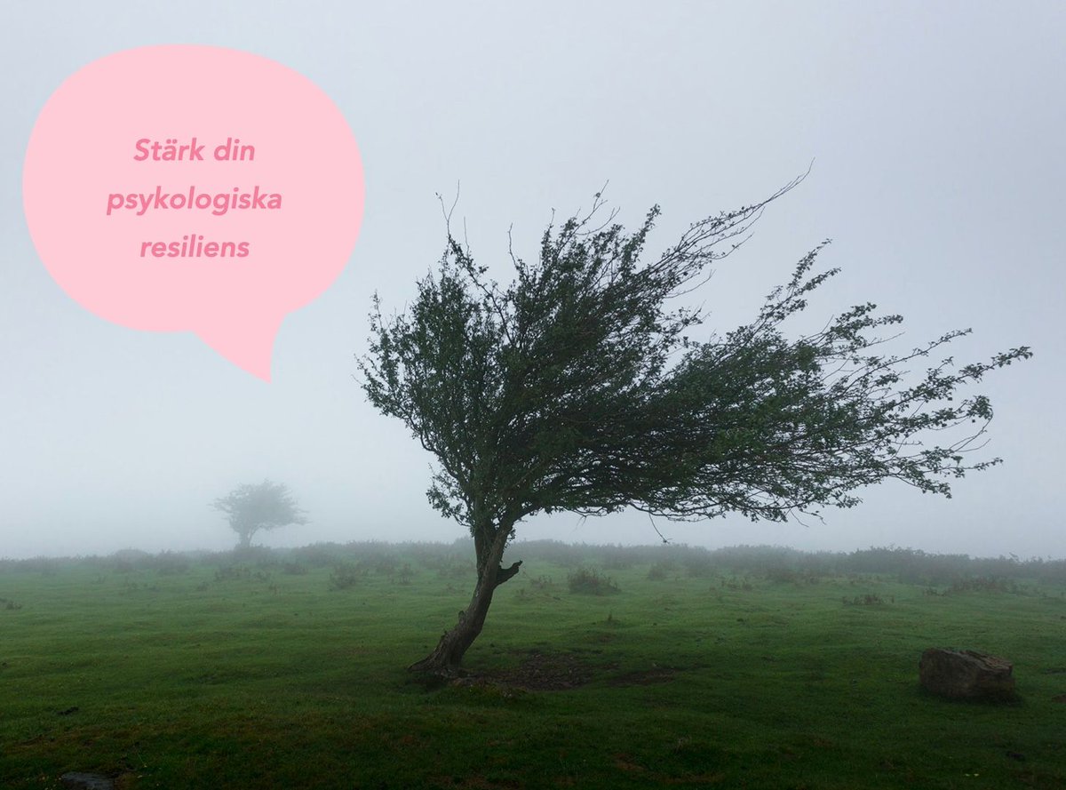 Ett ensamt träd är särskilt utsatt när det blåser till storm. En skog är bättre skyddad.  Tillsammans blir vi motståndskraftiga! I månadens Habitudkurs tränas du att stärka din psykologiska resiliens! habitud.se/courses/psykol…