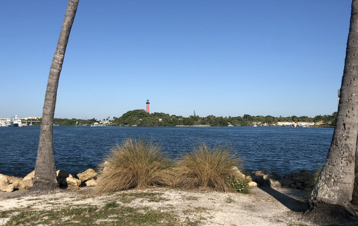 LMRocketGirl tweet media