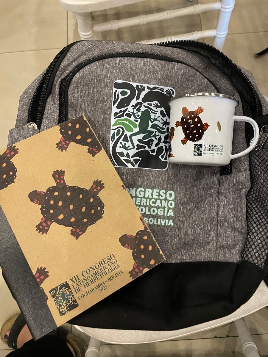biobiiana's tweet image. Buenos días, Cochabamba! Feliz de empezar una semana llena de #herpsci en el @xiiclh2023 🐊🐸🐢🦎🐍 #xiiclh23