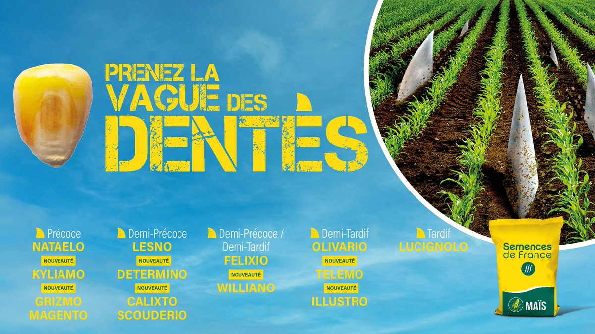 Semences de France tweet media