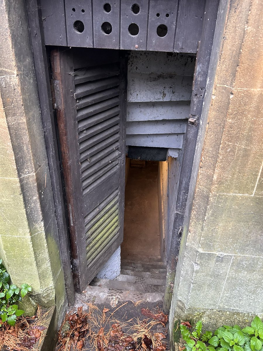 The boiler? Yes mate, it’s down there 👻😱
#commercialboiler #commercialgas #Thurrock #thurrockbusiness #commercialheating #CommercialBoiler #shoplocalbusiness #shoplocalfirst #thurrock #boilerservices #gasengineer