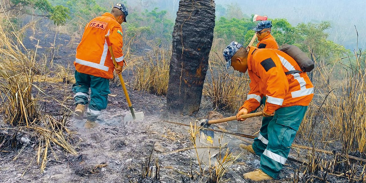 ATBDigital's tweet image. 𝗘𝗻 𝗲𝗹 𝟮𝟬𝟮𝟯, 𝗕𝗼𝗹𝗶𝘃𝗶𝗮 𝗿𝗲𝗴𝗶𝘀𝘁𝗿𝗮 𝗹𝗮 𝗺𝗲𝗻𝗼𝗿 𝗮𝗳𝗲𝗰𝘁𝗮𝗰𝗶ó𝗻 𝘁𝗲𝗿𝗿𝗶𝘁𝗼𝗿𝗶𝗮𝗹 𝗽𝗼𝗿 𝗶𝗻𝗰𝗲𝗻𝗱𝗶𝗼𝘀 𝗲𝗻 𝗹𝗼𝘀 ú𝗹𝘁𝗶𝗺𝗼𝘀 𝗰𝗶𝗻𝗰𝗼 𝗮ñ𝗼𝘀➡️ atb.com.bo/2023/10/30/en-…
#afectacion #territorial #incendios #ATBNoticias