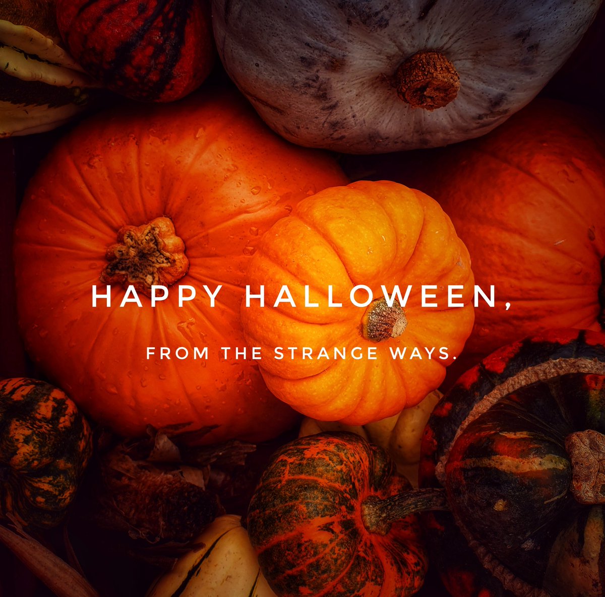 LWall54451552's tweet image. Discover the spooky origins of pumpkin carving this Halloween! 🎃 thestrangeways.co.uk/2019/10/trick-…

@gotogirlsblogg #bloglove2018 @bloglove2018 #blogdreamRT #folkhorror #ghoststories #Haunted #folklore #StaySpooky 
#BloggersCommunity #WritersCommunity #blog #blogger #HorrorCommunity