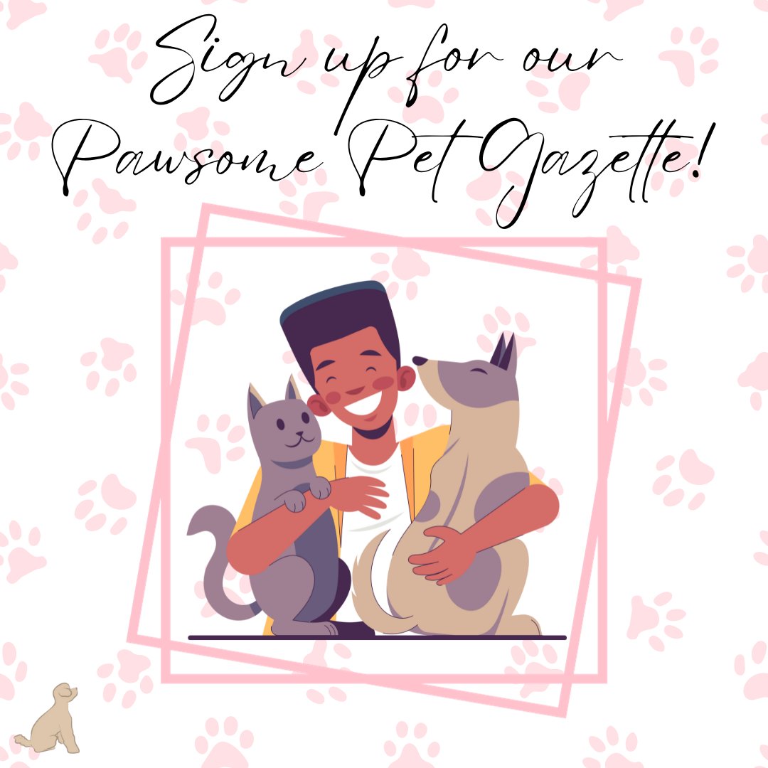 puppysentials's tweet photo. Looking for more opportunities to save? Sign up for our 🐾 Pawsome Pet Gazette to fetch exclusive discounts and offers. We'll even throw you a bone 🦴 and include a re-barkable sign-up bonus. 🐕 Visit us at: https://t.co/O05Sbof2xe (1/2) https://t.co/PC2EcDCGRV
