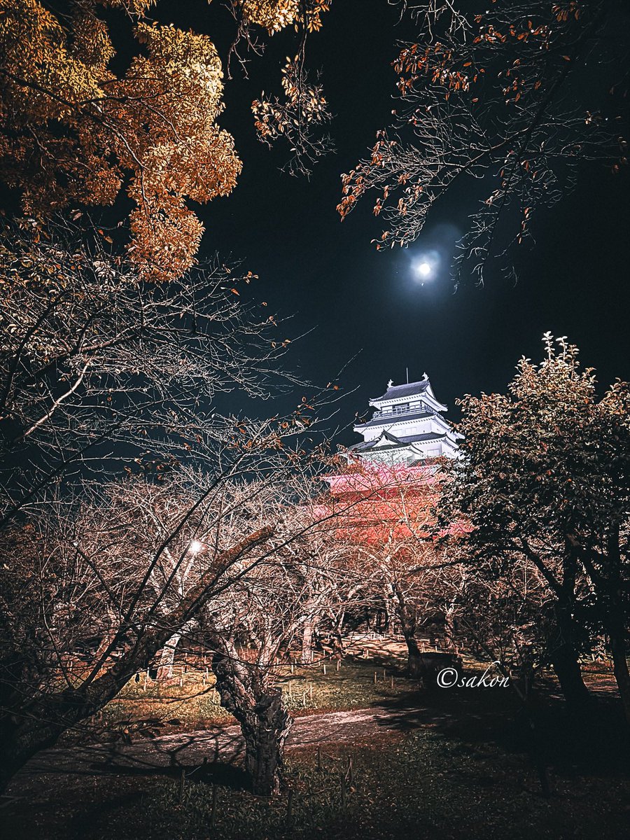 21sakon's tweet photo. #十六夜 と #紅葉 と #会津若松城 https://t.co/C2a32KpAsw