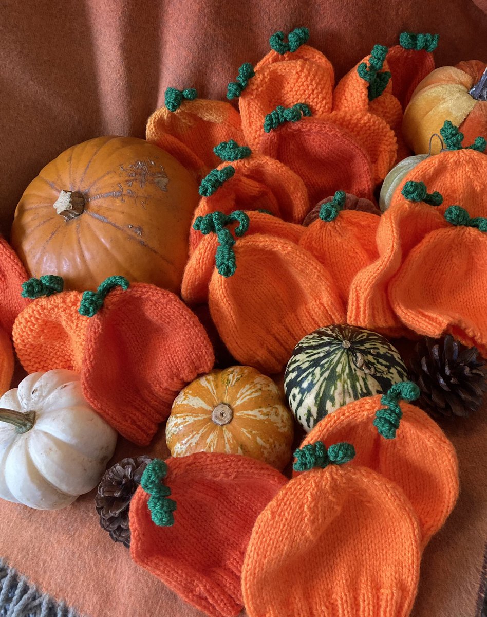 Melanie wildman (@wildman_melanie) on Twitter photo Our patch is all ready <a href="/tandgicft/">T&G Integrated Care</a> for all our little “pumpkins”🎃👶🏽 I can’t take any credit for the knitted hats.. my job was to make and sew on the stalks 🧡💚
<a href="/kerryreede/">Kerry Reede Field</a> <a href="/k_mantron/">Kevin Parker-Evans (He/Him)</a> <a href="/jencenny/">Jennifer Heath</a> <a href="/SCamkin/">Sharon Camkin</a> <a href="/AmyBrierley4/">Amy Brierley</a> <a href="/CilPoole/">Priscilla Poole</a> <a href="/NicolaFirth6/">Nicola Firth</a> Our patch is all ready <a href="/tandgicft/">T&G Integrated Care</a> for all our little “pumpkins”🎃👶🏽 I can’t take any credit for the knitted hats.. my job was to make and sew on the stalks 🧡💚
<a href="/kerryreede/">Kerry Reede Field</a> <a href="/k_mantron/">Kevin Parker-Evans (He/Him)</a> <a href="/jencenny/">Jennifer Heath</a> <a href="/SCamkin/">Sharon Camkin</a> <a href="/AmyBrierley4/">Amy Brierley</a> <a href="/CilPoole/">Priscilla Poole</a> <a href="/NicolaFirth6/">Nicola Firth</a>
