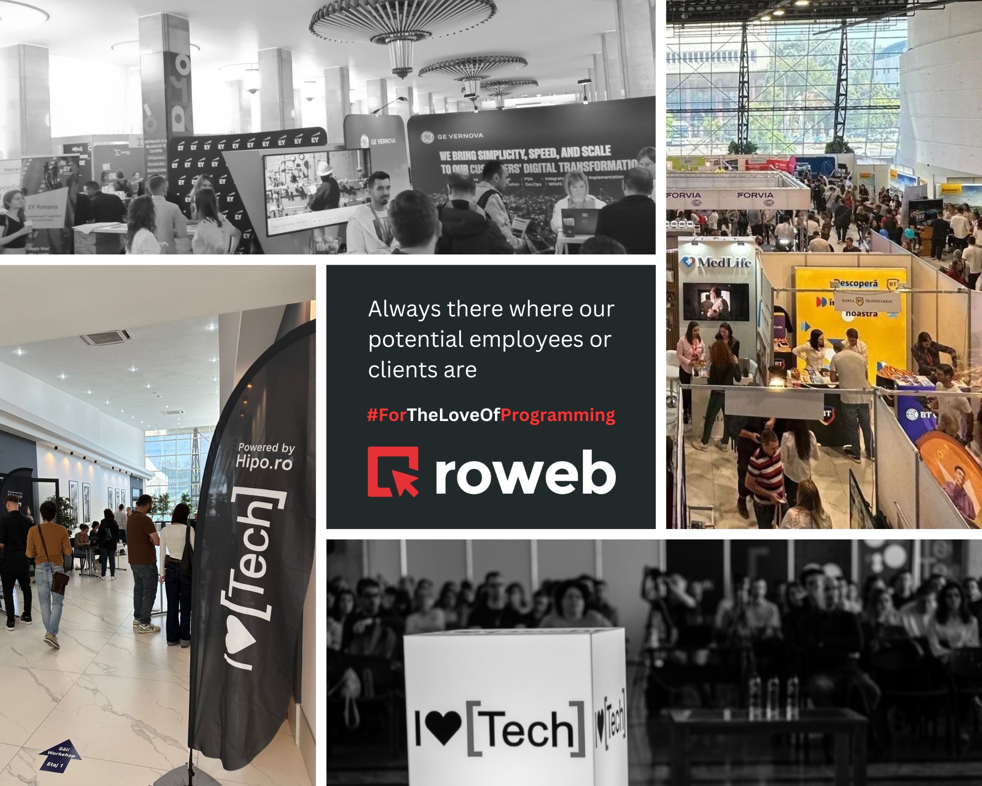 Roweb Development: 100% Romanian Excellence in Custom Software Development