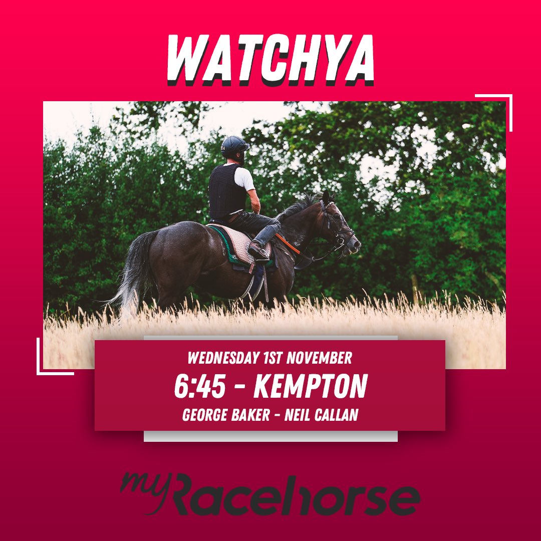 𝐖𝐚𝐭𝐜𝐡𝐲𝐚 is back on the track this Wednesday at Kempton in their 6f Handicap under jockey Neil Callan 🏇

Watchya is already a two-times winner on the All-weather and we look forward to welcoming owners to Kempton Park. Start your ownership journey today for just £66: