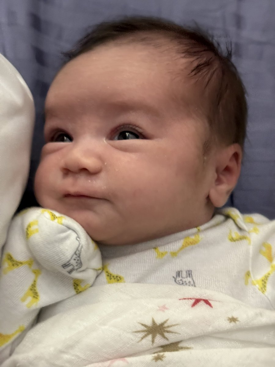 Lion ✌️❤️😂🦁 tweet media