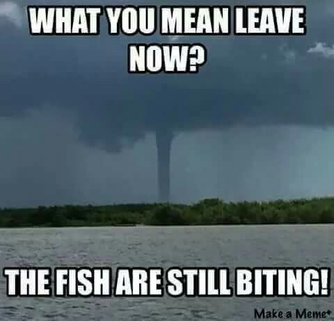 Waiting for the heavy stuff to come in
#bass #fishing #fishingmemes #fishingboats #fish #bassfishing #fishinglife #pafishing