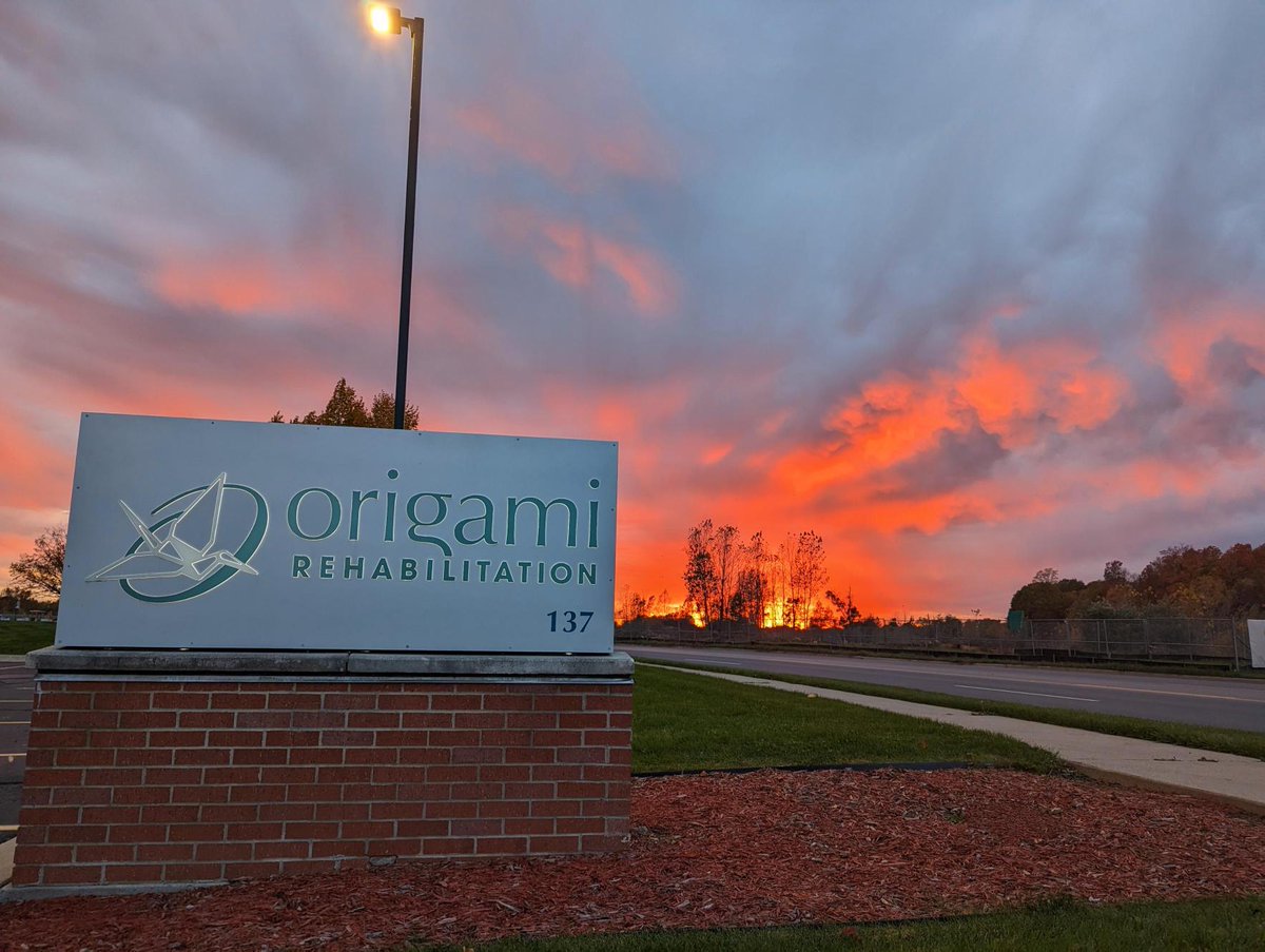 Origami Rehabilitation tweet media