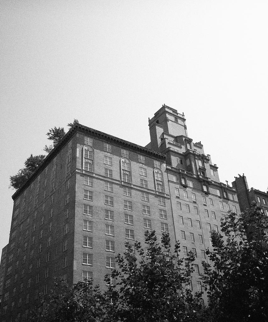 Been taking my Panasonic LUMIX (an early point-and-shoot digital camera) with me and doing some B&amp;W studies/experiments.