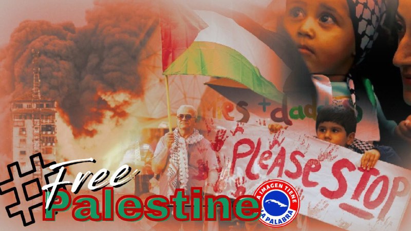 📌Asciende a 8.306 el número de palestinos asesinados por Israel en la Franja de Gaza entre ellos 3.457 niños,  2.136 mujeres y 21.048 heridos.🫂
.
.
#FreePalestine #CubaPorLaPaz