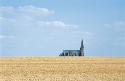 Sarah-Jane (SJ) Murray tweet media