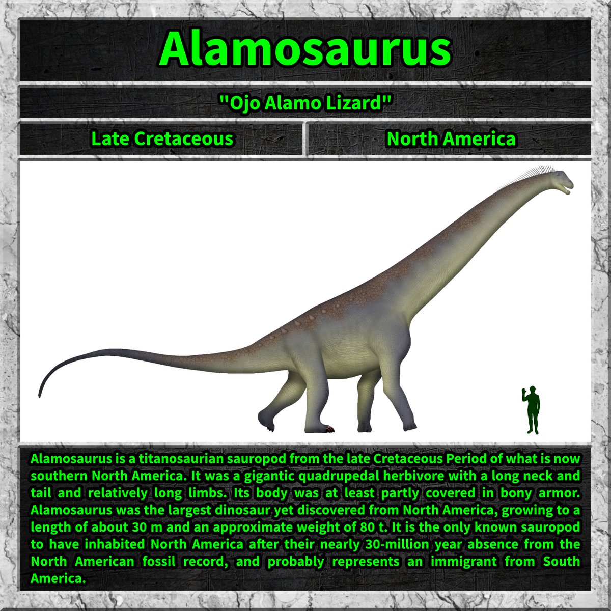 Total_Dino's tweet image. #alamosaurus #dinosaur #lifeonourplanet